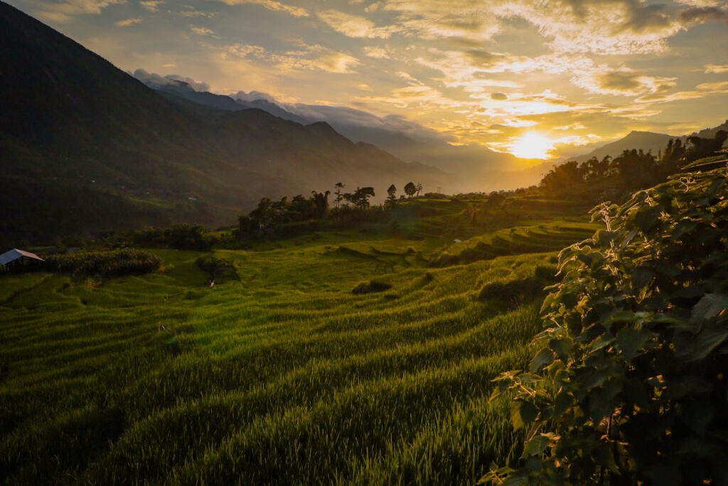 img 2030 2 img 2030 2