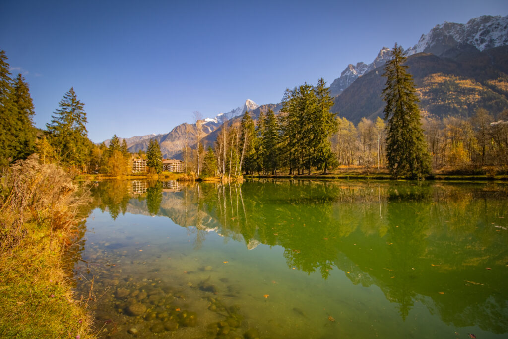 img 9097 5 img 9097 5