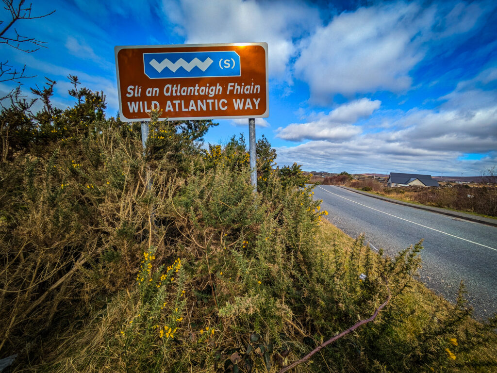 pxl 20250315 114700684