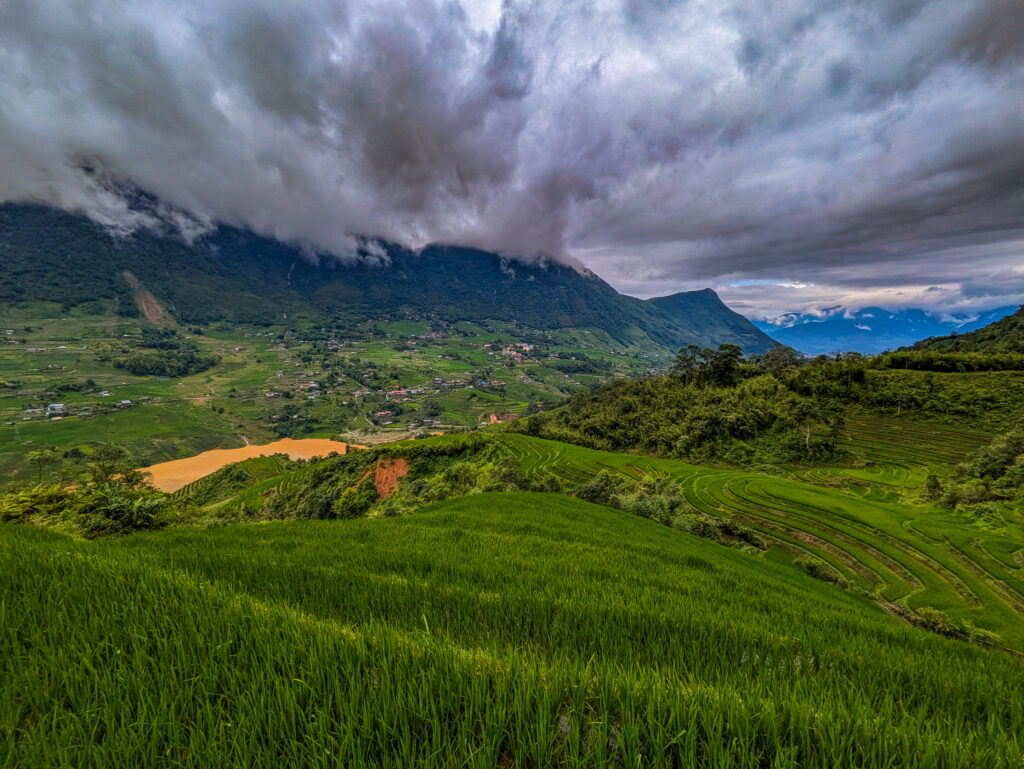 pxl 20250712 075057950 2 pxl 20250712 075057950 2