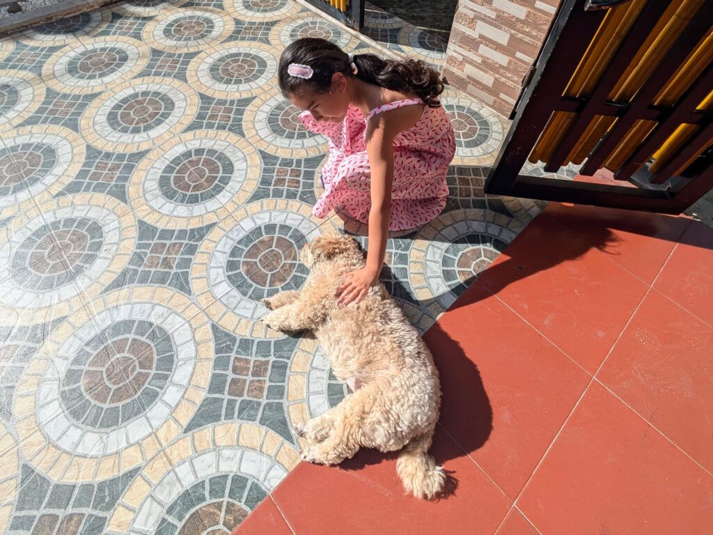 pxl 20250719 005856128.mp pxl 20250719 005856128.mp