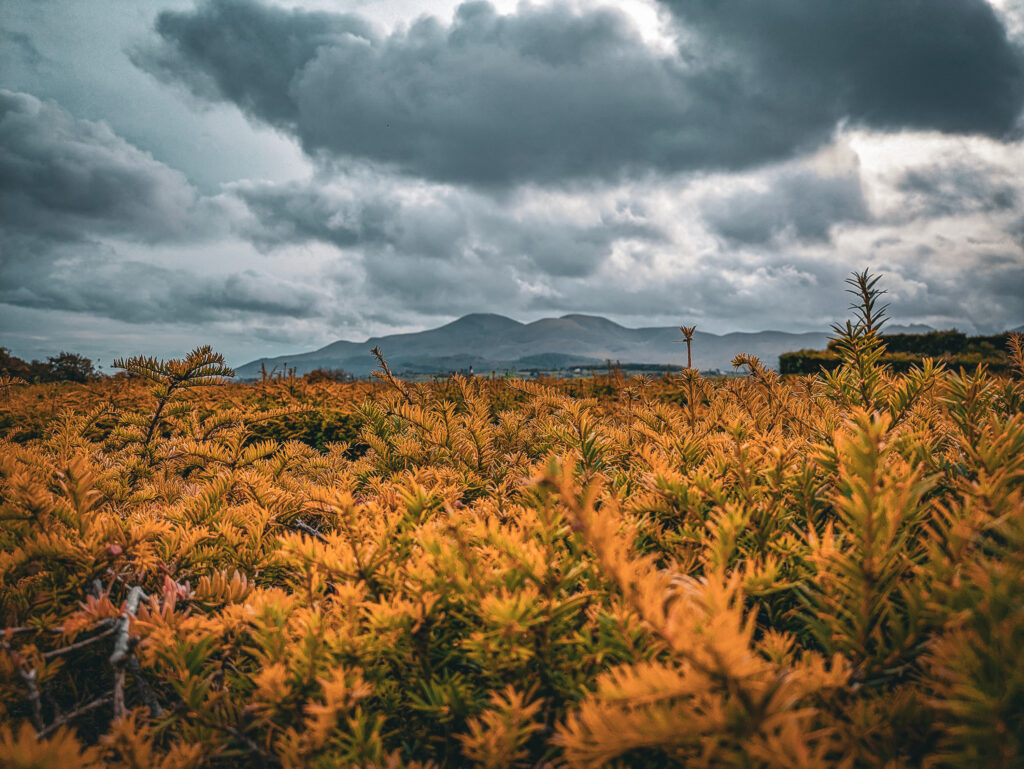 pxl 20251027 125535600 pxl 20251027 125535600